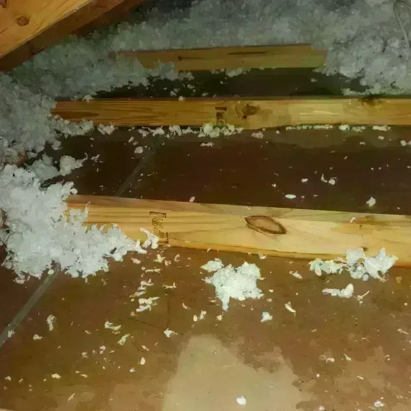 Attic Water Damage in Escambia County, AL