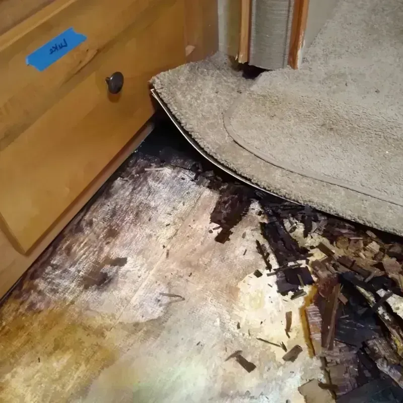 Wood Floor Water Damage in Escambia County, AL